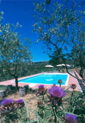 Agriturismo Torraiolo